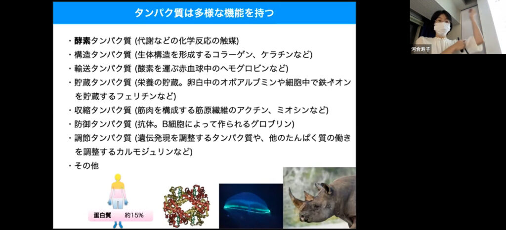 【実施報告】DSCafé『人類は蛋白質の形を知りたい』（12/7）